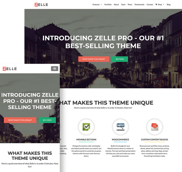 Tema-Wordpress-zelle-pro